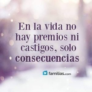 Meet your Posher, Eliza